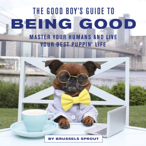 Quarto Publishing Plc The Good Boy's Guide to Being Good (inbunden, eng)