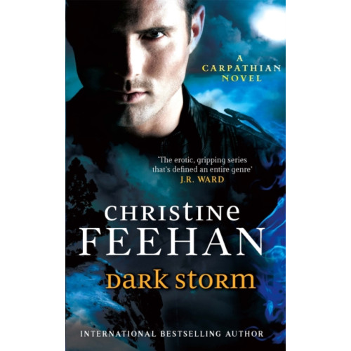 Little, Brown Book Group Dark Storm (häftad, eng)