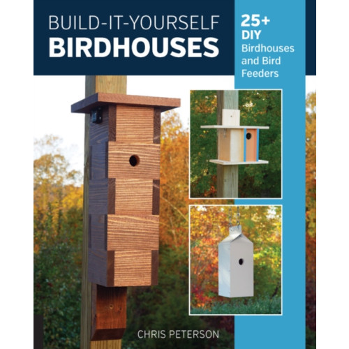 Quarto Publishing Group USA Inc Build-It-Yourself Birdhouses (häftad, eng)