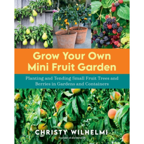 Quarto Publishing Group USA Inc Grow Your Own Mini Fruit Garden (häftad, eng)