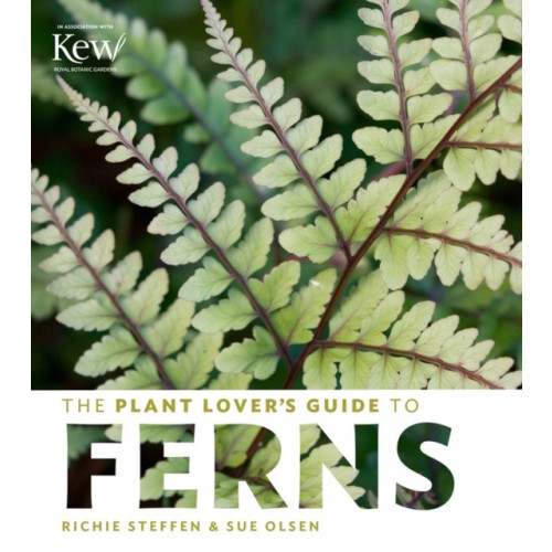 Workman Publishing The Plant Lover's Guide to Ferns (inbunden, eng)