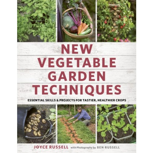 Quarto Publishing Plc New Vegetable Garden Techniques (häftad, eng)