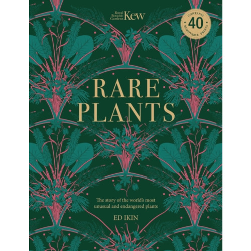 Headline Publishing Group Kew - Rare Plants (häftad, eng)