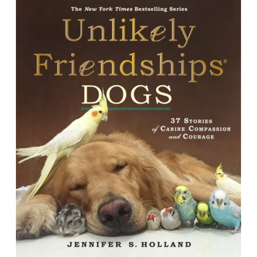 Workman Publishing Unlikely Friendships: Dogs (häftad, eng)