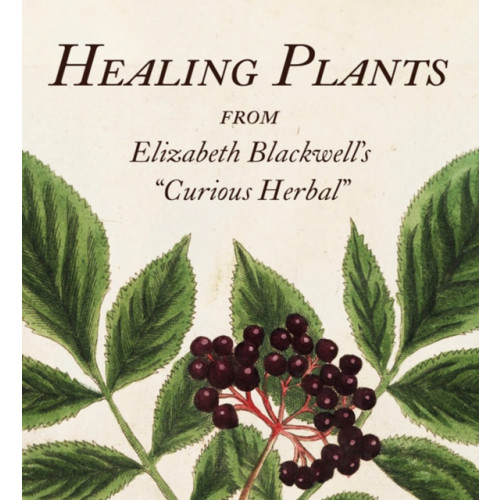Abbeville Press Inc.,U.S. Healing Plants (inbunden, eng)