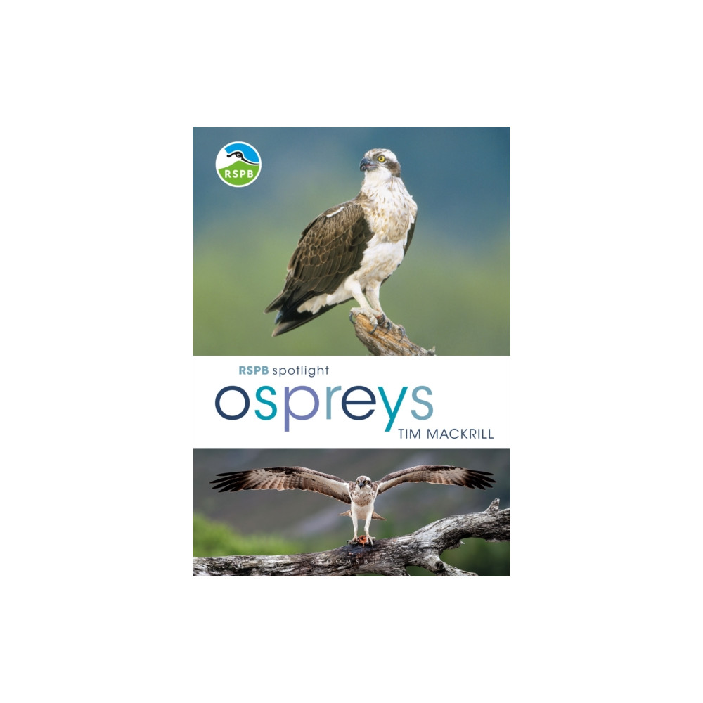 Produktbild för RSPB Spotlight Ospreys (häftad, eng)