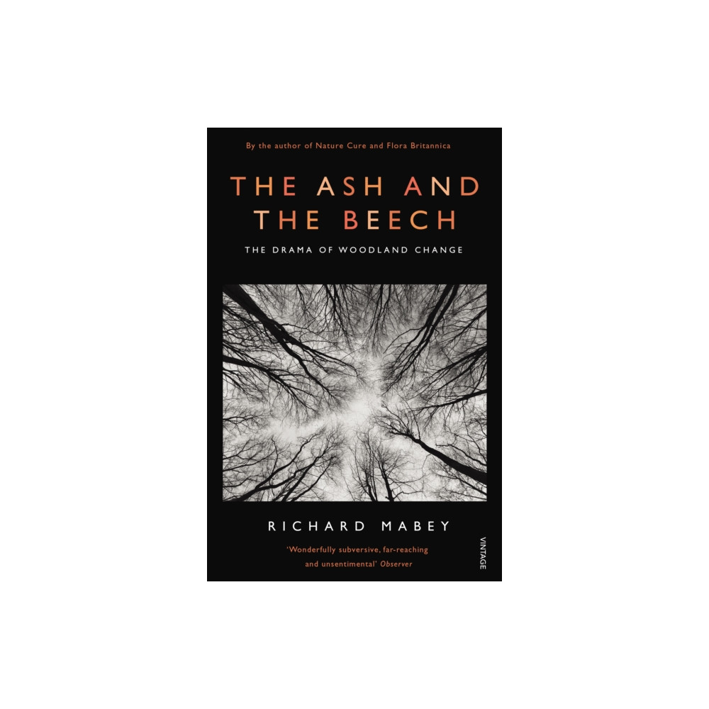 Produktbild för The Ash and The Beech (häftad, eng)