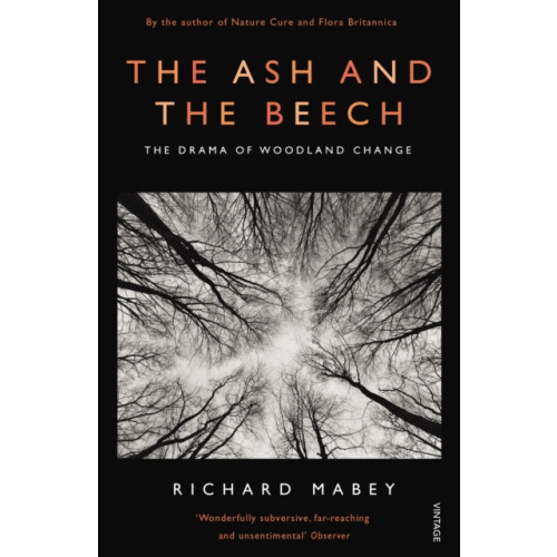 Vintage Publishing The Ash and The Beech (häftad, eng)