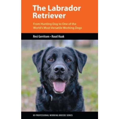 Brush Education Inc The Labrador Retriever (häftad, eng)