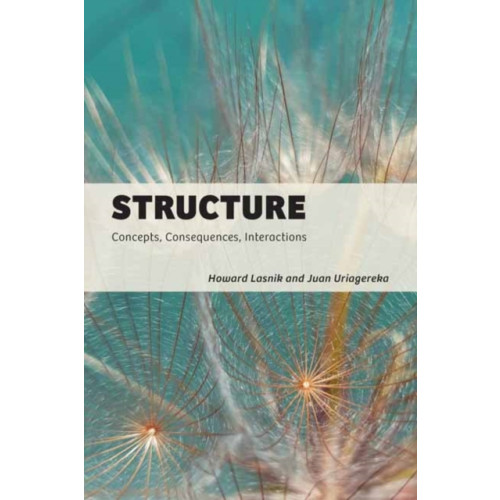 Mit press ltd Structure (häftad, eng)