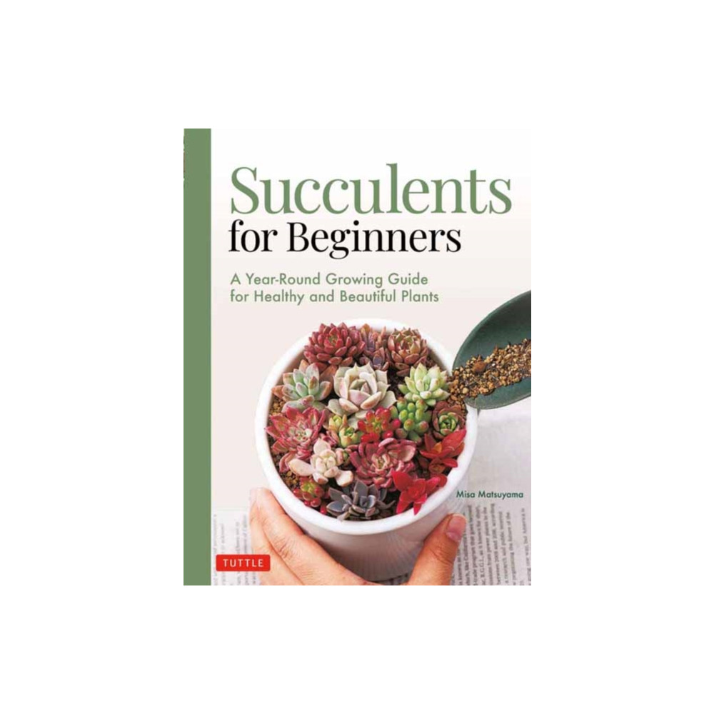 Produktbild för Succulents for Beginners (häftad, eng)