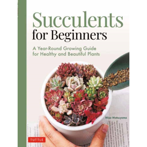 Tuttle Publishing Succulents for Beginners (häftad, eng)
