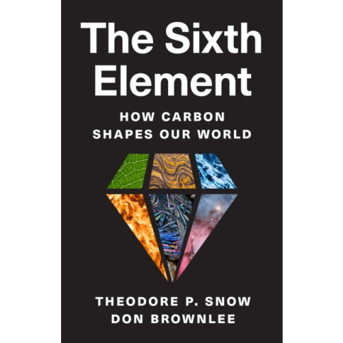 Princeton University Press The Sixth Element (inbunden, eng)