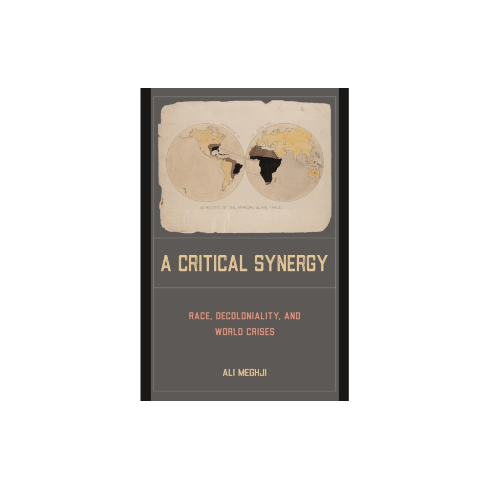 Produktbild för A Critical Synergy (häftad, eng)