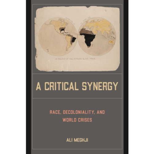 Temple University Press,U.S. A Critical Synergy (häftad, eng)