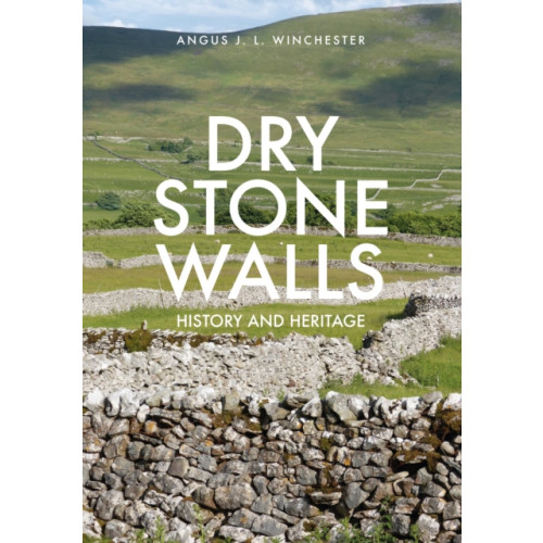 Amberley Publishing Dry Stone Walls (häftad, eng)