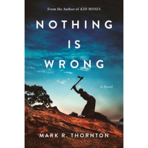 Skyhorse Publishing Nothing Is Wrong (inbunden, eng)