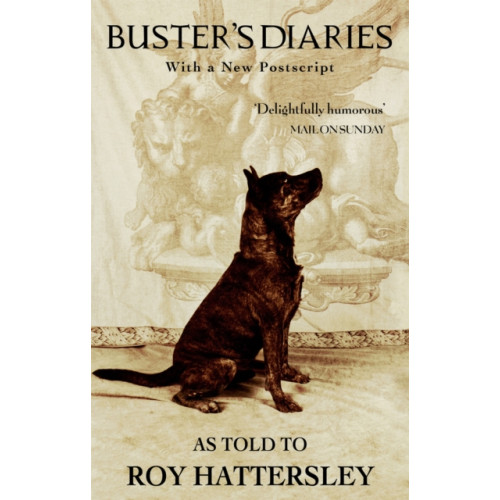 Little, Brown Book Group Buster's Diaries (häftad, eng)