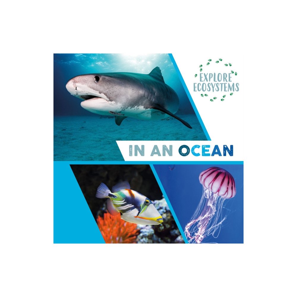 Produktbild för Explore Ecosystems: In an Ocean (häftad, eng)