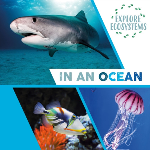 Hachette Children's Group Explore Ecosystems: In an Ocean (häftad, eng)