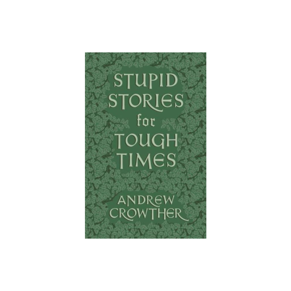 Produktbild för Stupid Stories for Tough Times (häftad, eng)