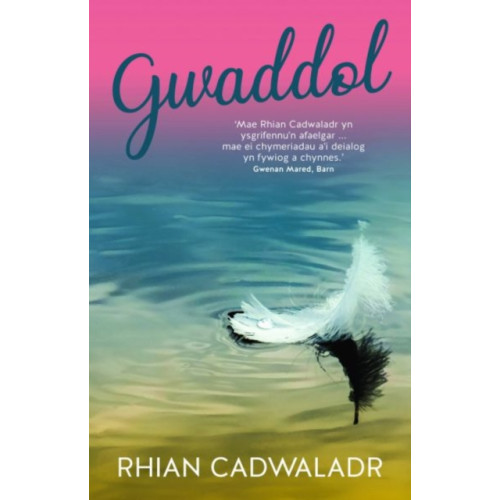 Gwasg Carreg Gwalch Gwaddol (häftad, wel)