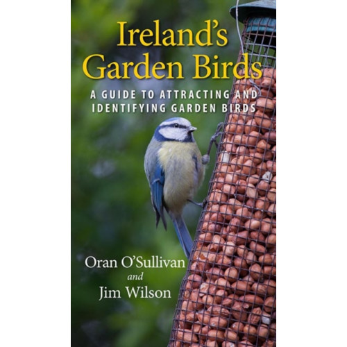 Gill Ireland's Garden Birds (häftad, eng)