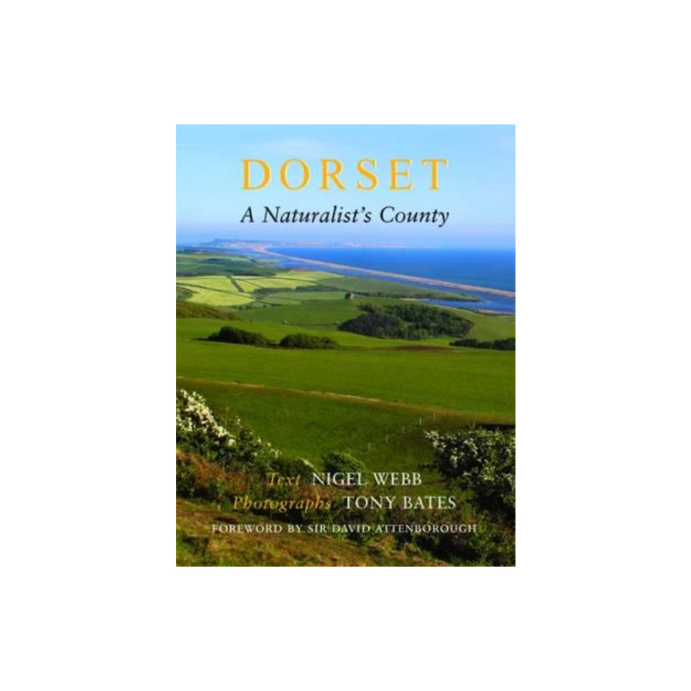 Produktbild för Dorset, a Naturalist's County (häftad, eng)