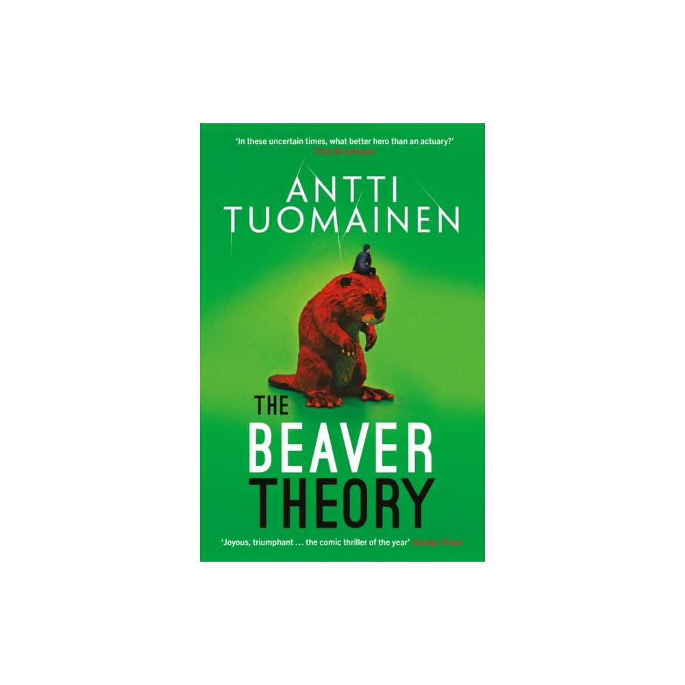 Produktbild för The Beaver Theory (häftad, eng)
