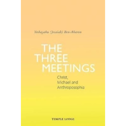 Temple Lodge Publishing The Three Meetings (häftad, eng)