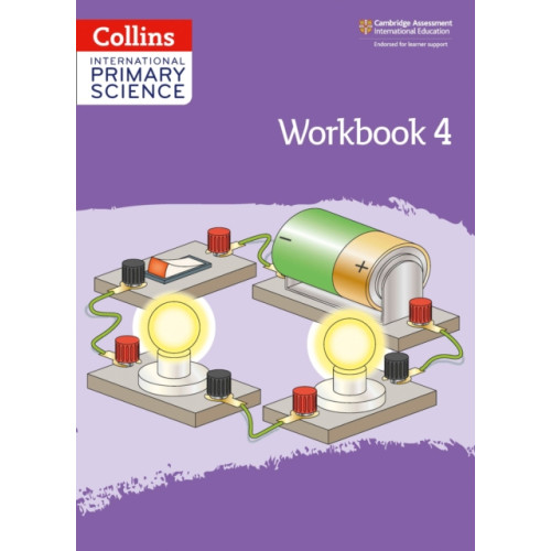HarperCollins Publishers International Primary Science Workbook: Stage 4 (häftad, eng)