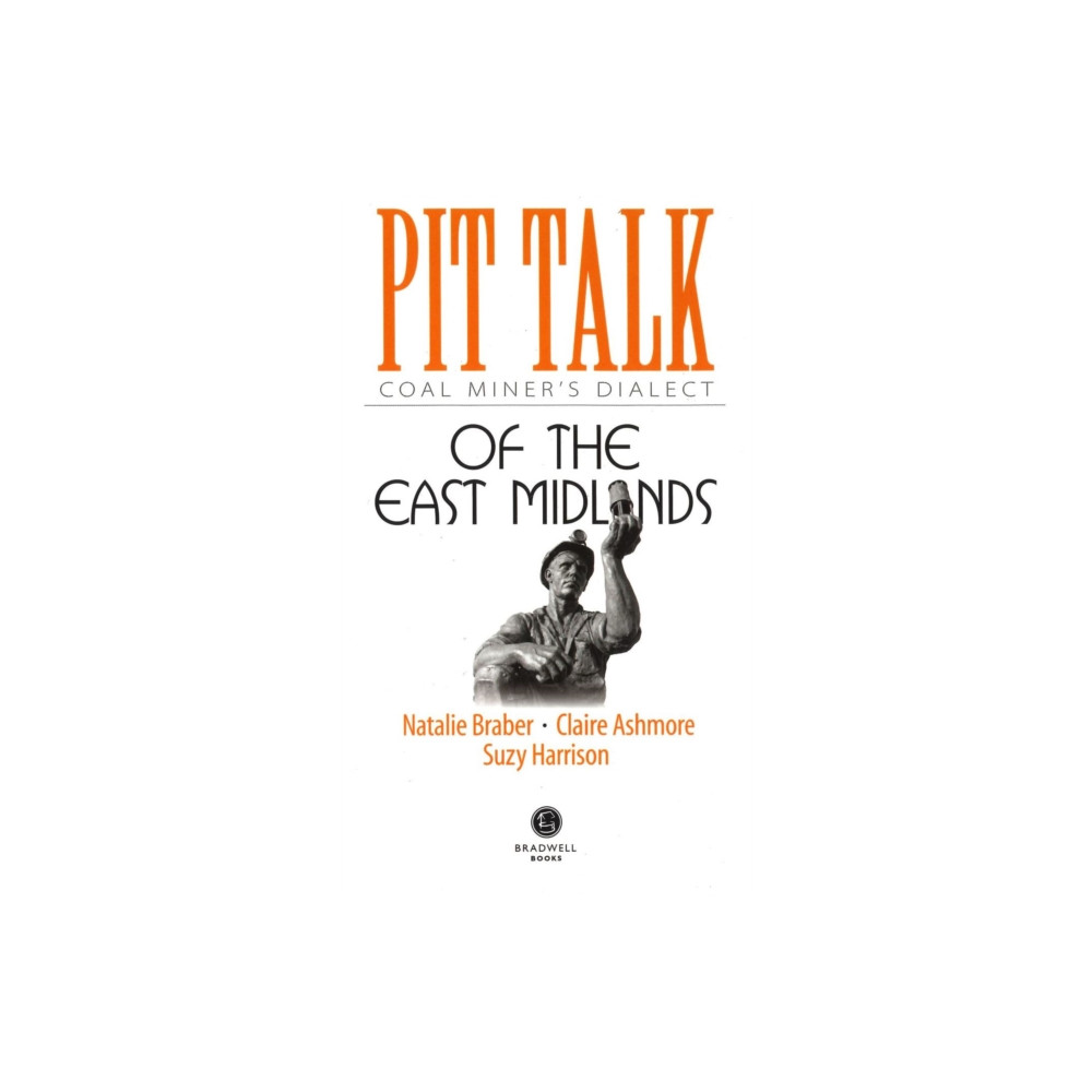 Produktbild för Pit Talk (häftad, eng)