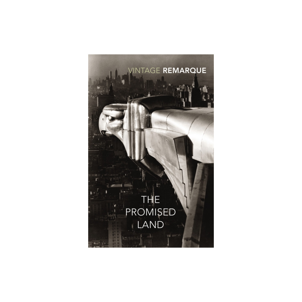 Produktbild för The Promised Land (häftad, eng)
