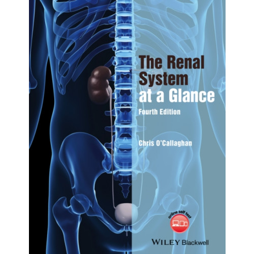 John Wiley And Sons Ltd The Renal System at a Glance (häftad, eng)