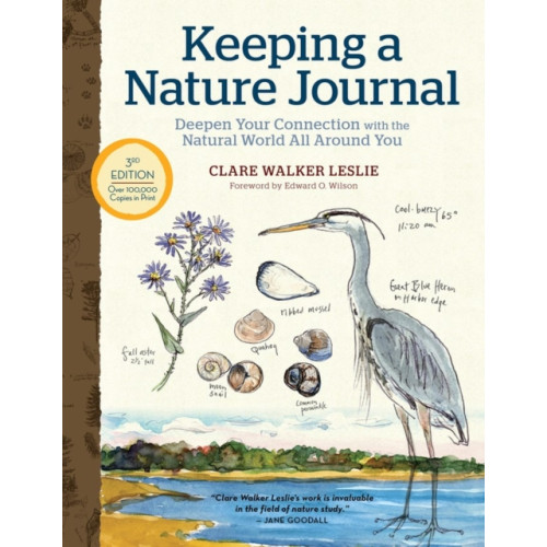 Workman Publishing Keeping a Nature Journal, 3rd Edition: Deepen Your Connection with the Natural World All Around You (häftad, eng)