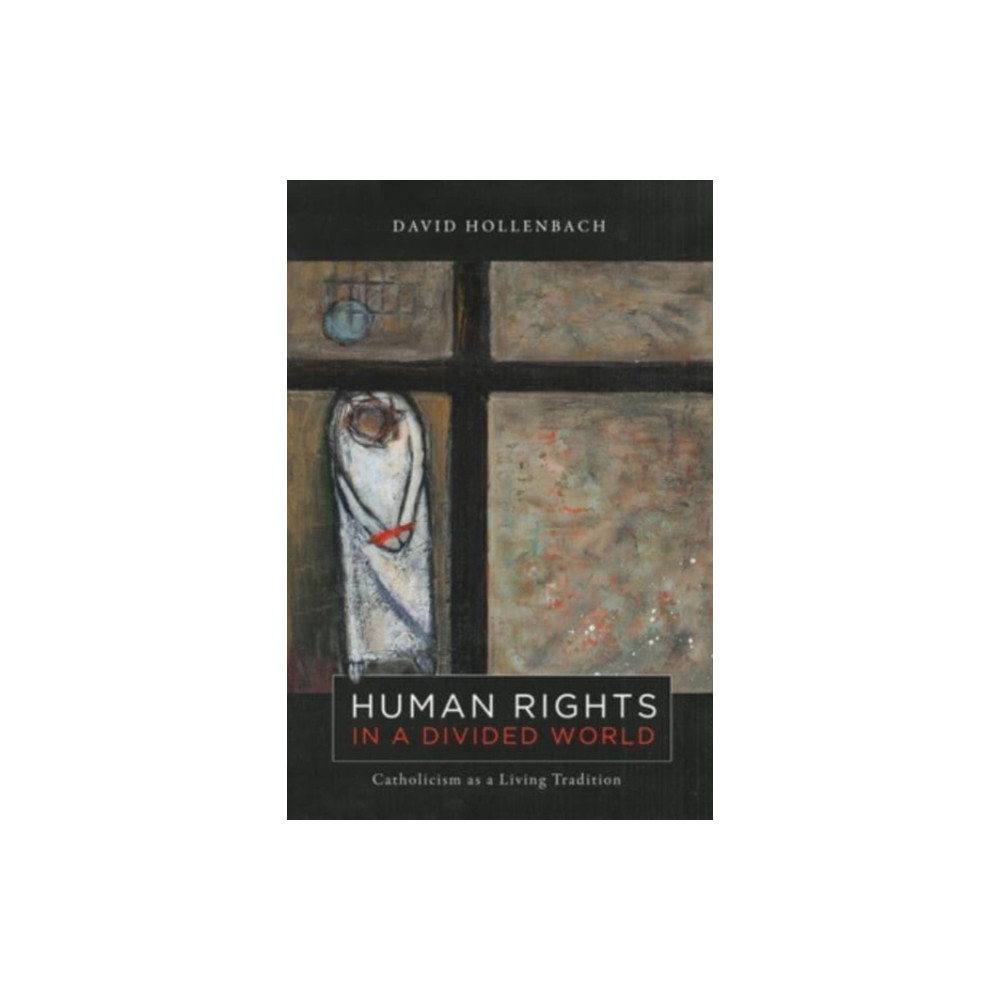 Produktbild för Human Rights in a Divided World (häftad, eng)