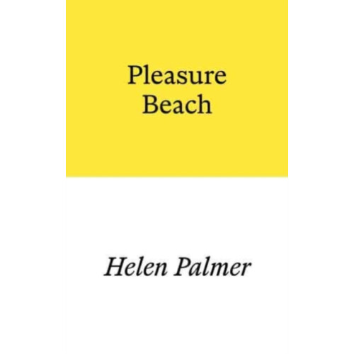 Prototype Publishing Ltd. Pleasure Beach (häftad, eng)