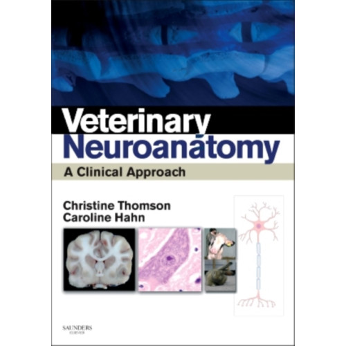 Elsevier Health Sciences Veterinary Neuroanatomy (häftad, eng)