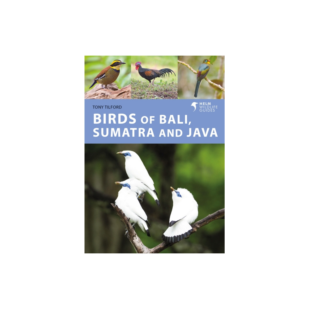 Produktbild för Birds of Bali, Sumatra and Java (häftad, eng)