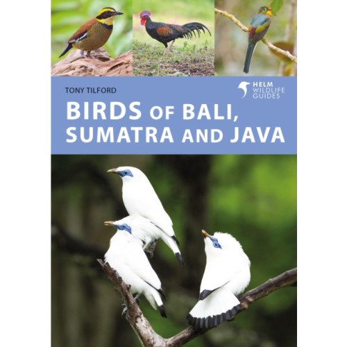 Bloomsbury Publishing PLC Birds of Bali, Sumatra and Java (häftad, eng)