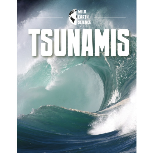 Capstone Global Library Ltd Tsunamis (häftad, eng)