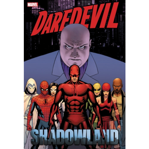 Marvel Comics Daredevil: Shadowland Omnibus Cassaday Cover (New Printing) (inbunden, eng)