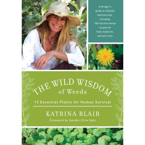 Chelsea Green Publishing Co The Wild Wisdom of Weeds (häftad, eng)