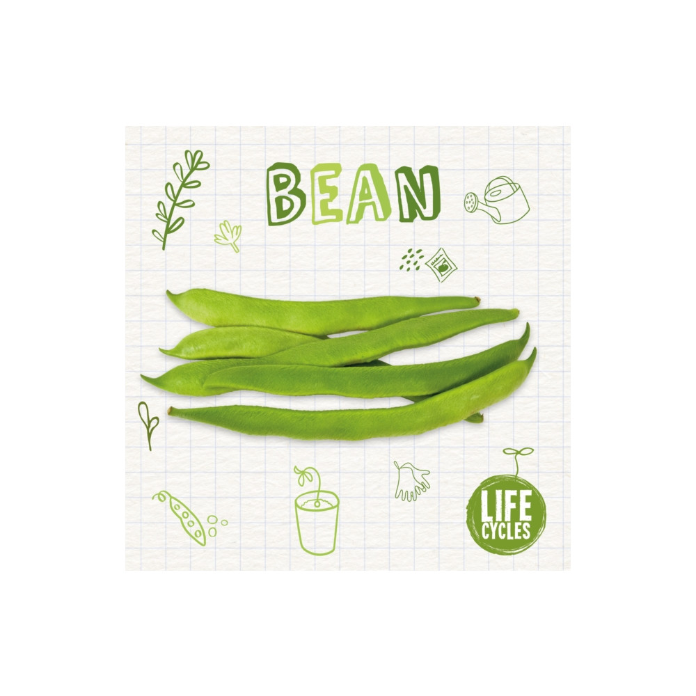 Produktbild för Bean (häftad, eng)