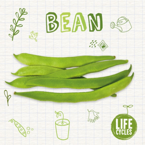 BookLife Publishing Bean (häftad, eng)