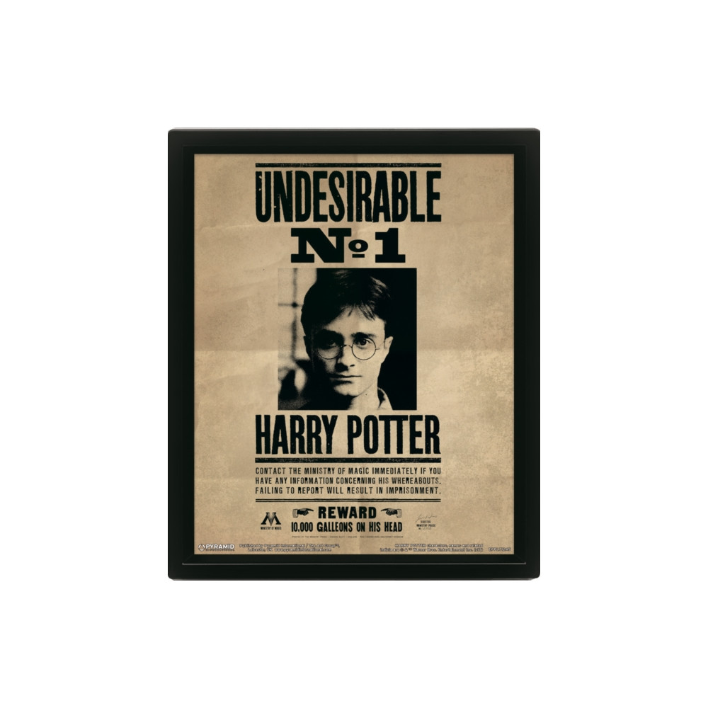Produktbild för Harry Potter (Harry & Sirius) Framed 10 x 8" 3D Lenticular Poster (Framed)