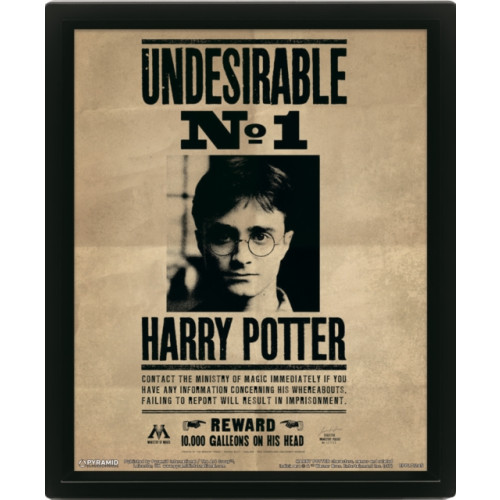 Pyramid International Harry Potter (Harry & Sirius) Framed 10 x 8" 3D Lenticular Poster (Framed) (häftad, eng)