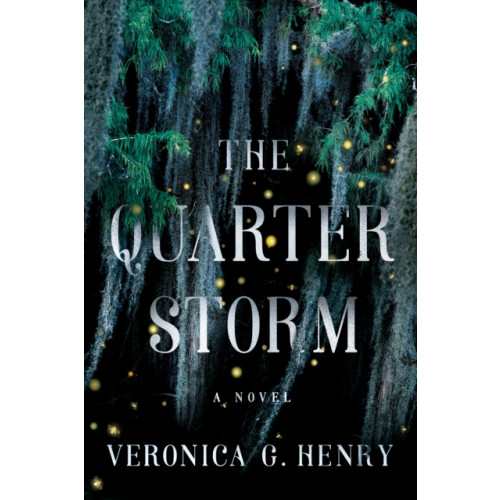 Amazon Publishing The Quarter Storm (häftad, eng)