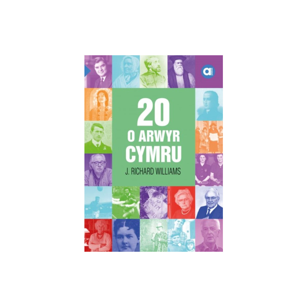 Produktbild för Cyfres Amdani: 20 o Arwyr Cymru (häftad, wel)