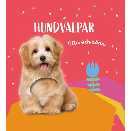 Tukan Förlag Titta och känn. Hundvalpar (bok, board book)